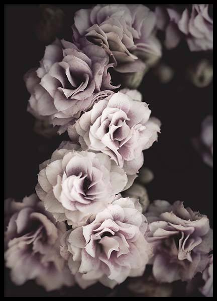 Bouquet De Fleurs Poster in der Gruppe Poster / Fotografien bei Desenio AB (10433)