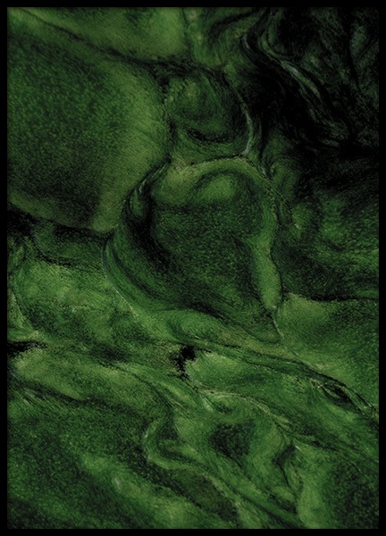 Algea Poster in der Gruppe Poster / Fotografien bei Desenio AB (11001)