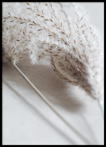 Close Up of Reeds Poster in der Gruppe Poster / Fotografien bei Desenio AB (11799)