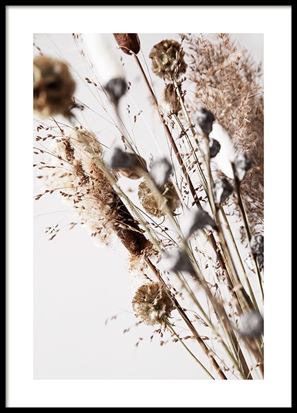 Dry Reeds No2 Poster in der Gruppe Poster / Fotografien bei Desenio AB (12420)