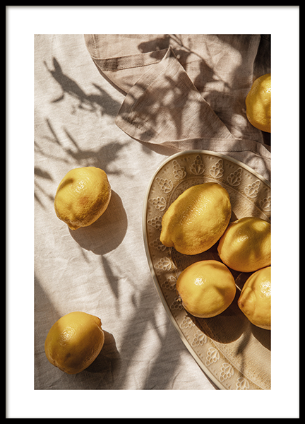 Lemons In Sunlight Poster