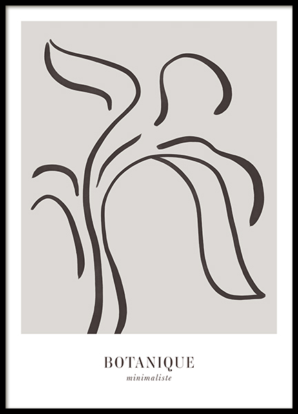 Botanique Minimaliste Poster
