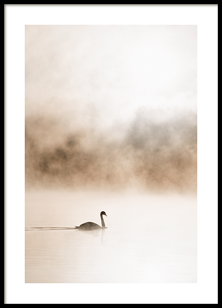 Gliding Swan Poster