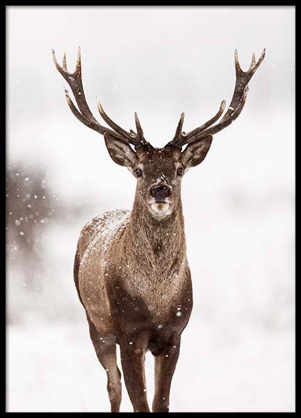 Deer Winter Landscape Poster - Hirsch im Schnee - desenio.de