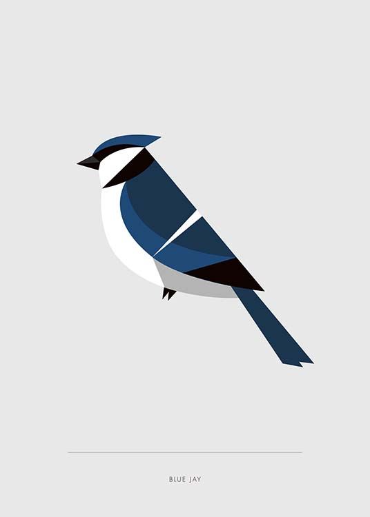  - Schönes Tierposter mit einer grafischen Illustration eines blauen Vogels.