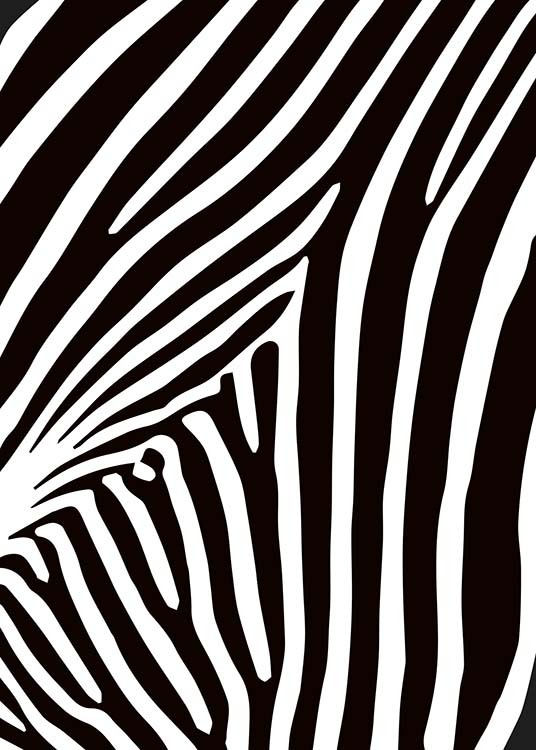  - Abstraktgehaltenes Poster mit den schwarzweißen Streifen des Zebras.