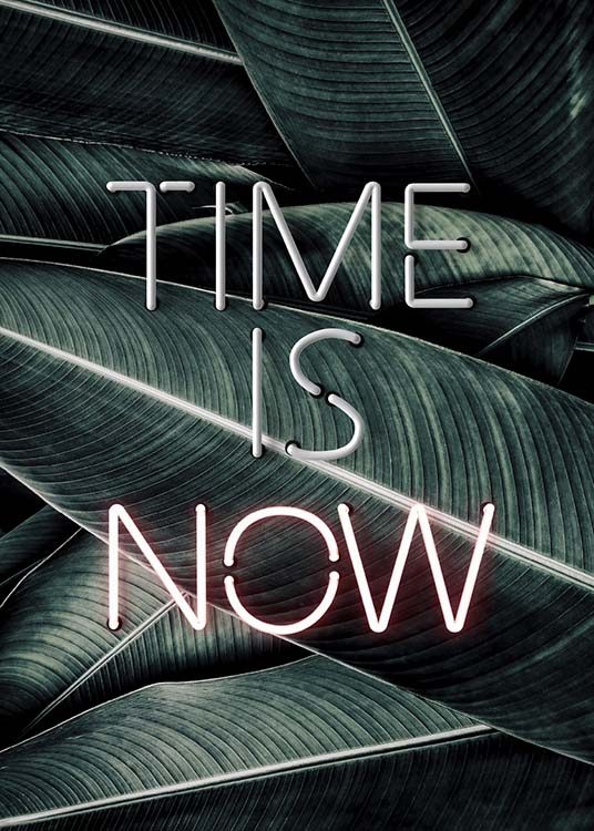 Time Is Now Neon Poster / Poster mit Sprüchen bei Desenio AB (10301)