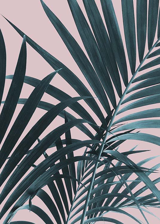  - Fotokunst mehrerer Palmenblätter und einem pinken Pastellhintergrund.