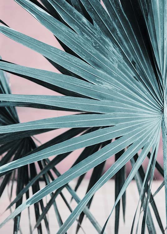  - Fotoposter eines Palmenblatts und einem Hintergrund in Pastellfarbe.
