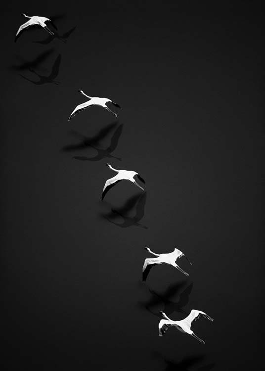  - Kunstvolles grafisches Poster mit fünf in einer Reihe fliegenden Flamingos in schwarzweiß.