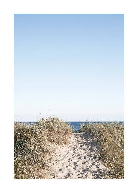 Path on beach Poster / Naturmotive bei Desenio AB (10477)