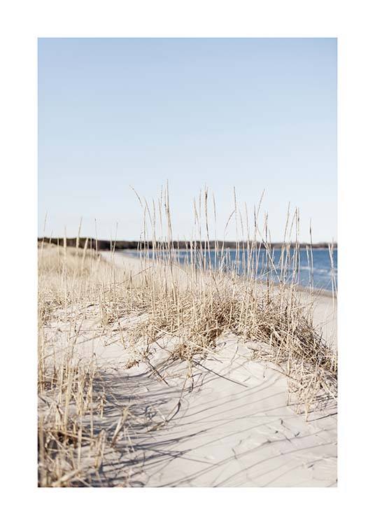 Grass by Sea Poster / Naturmotive bei Desenio AB (10478)