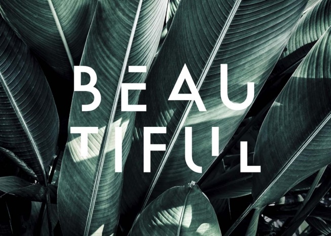 – Botanisches Foto auf Palmenblättern mit dem Wort beautiful