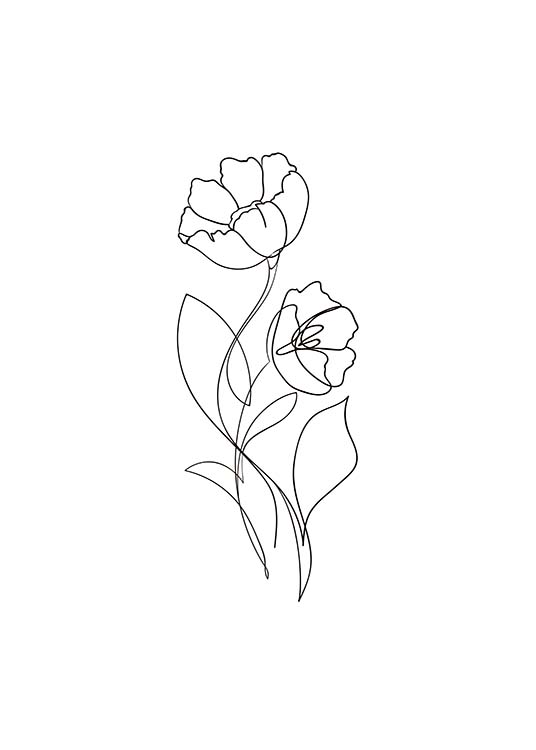  - einfache Bleistiftzeichnung einer Blume in voller Blüte in schwarzweiß.