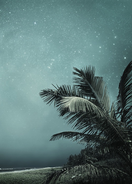 - Beeindruckendes Fotoposter mit einem wolkenlosen Sternenhimmel und tropischen Palmen.