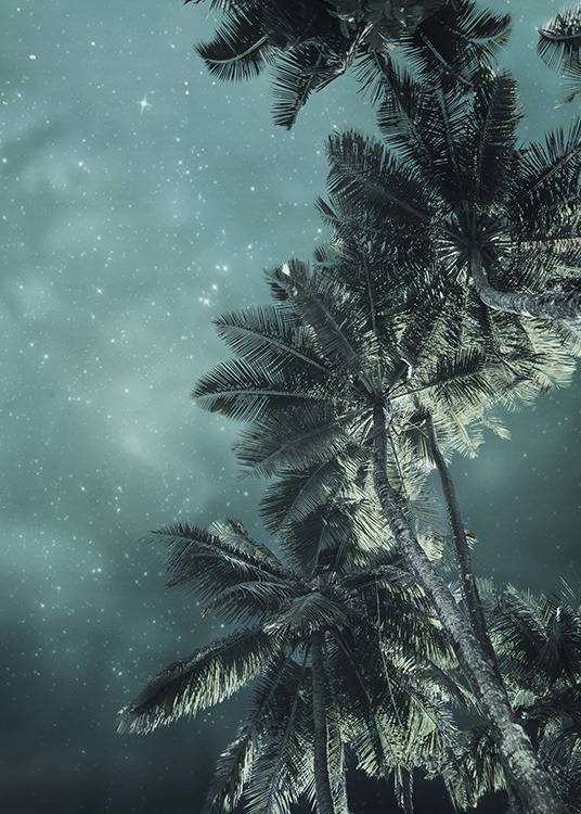 - Träumerisches Fotoposter mit einem Sternenhimmel unter tropischen Palmen