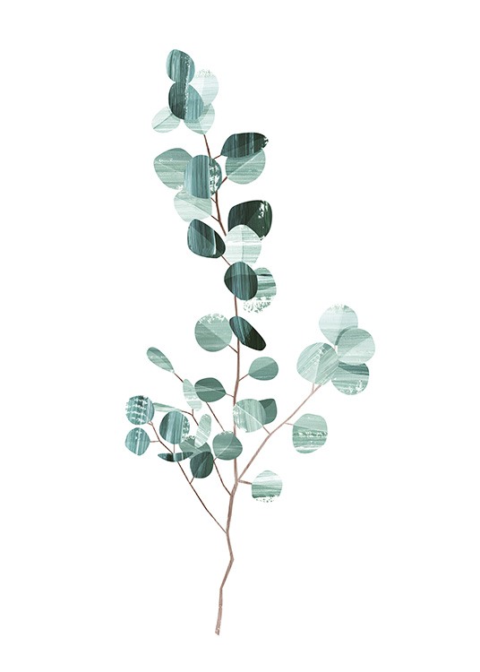  - Stilreines Grafikposter mit einem Eukalyptuszweig in dunkelgrüner Farbe und weißem Hintergrund.