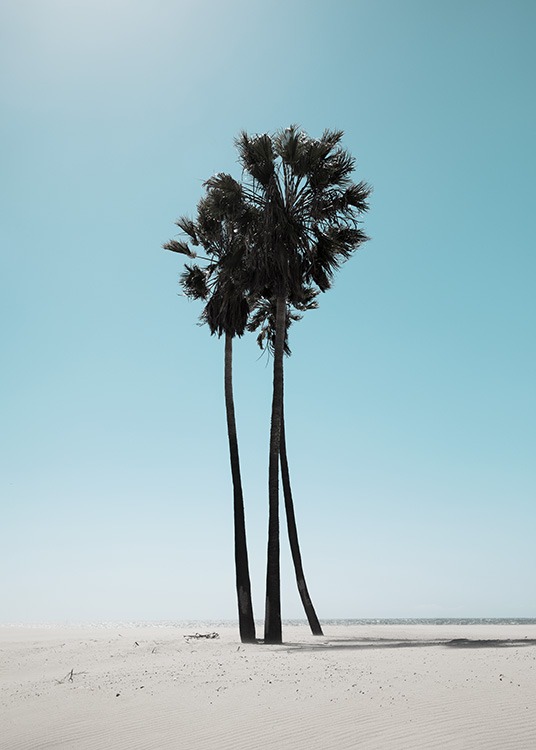 LA Beach Palms Poster / Tropisch bei Desenio AB (10784)