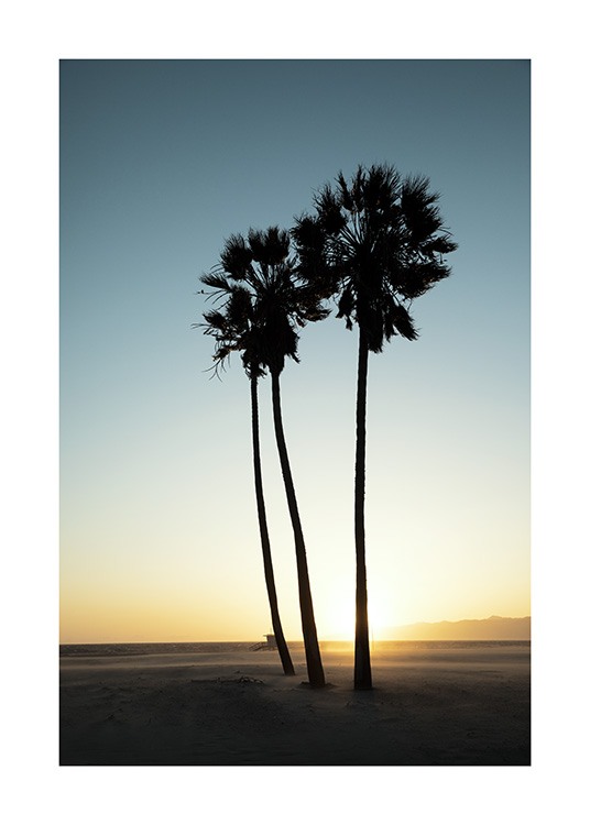 Los Angeles Sunset Poster / Tropisch bei Desenio AB (10786)