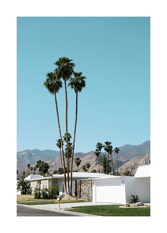 Street of Palm Springs Poster / 70x100 cm bei Desenio AB (10790)