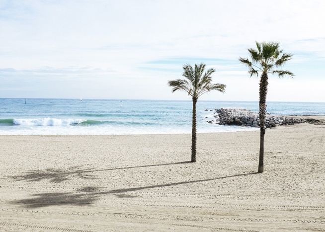  - Tolle Strandaufnahme in Barcelona mit Palmen und Sandstrand.