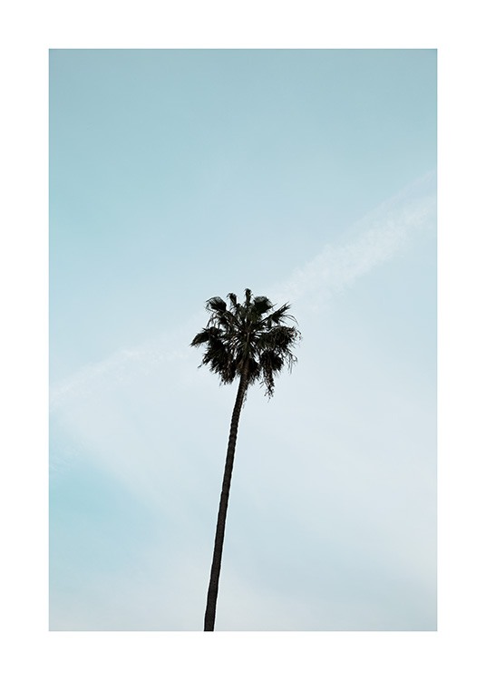 Palm Tree Poster / Naturmotive bei Desenio AB (10955)