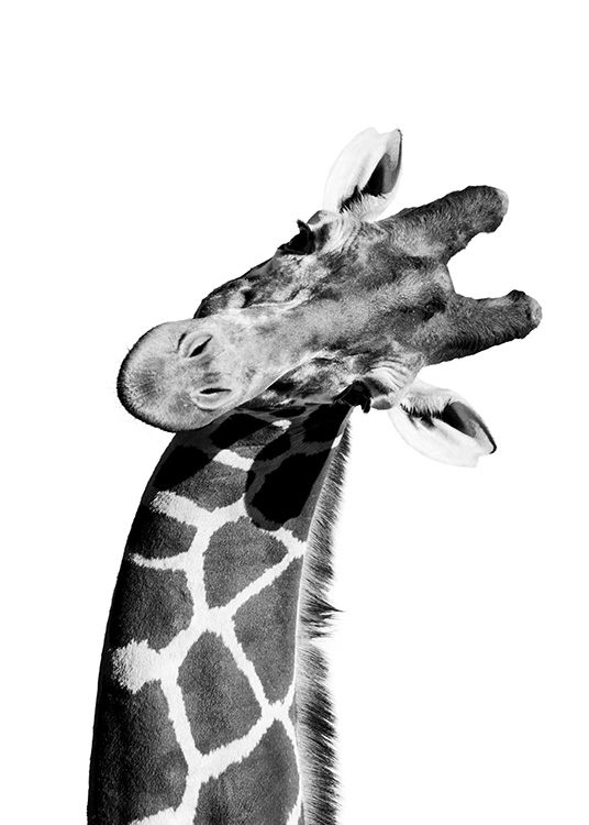  - Schwarzweißes aufmunterndes Tierposter mit einer Giraffe im Porträt.