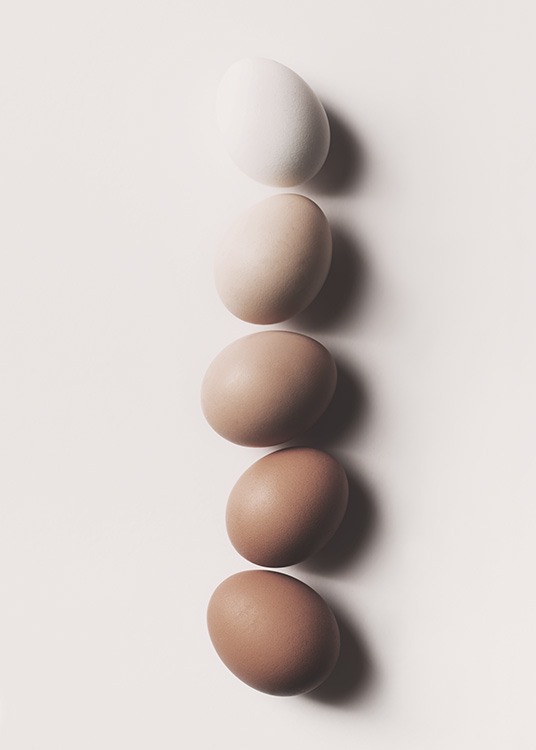  - Stilvolles Küchenposter mit verschieden farbenen Eiern in einer Reihe.