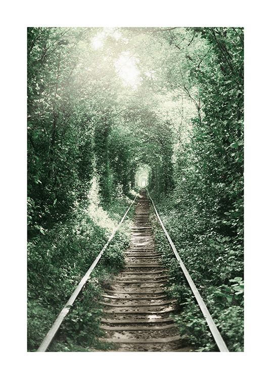 Forest Tunnel Poster / Naturmotive bei Desenio AB (11265)