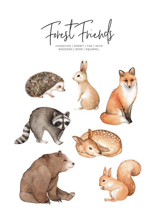  - Schönes Kinderposter mit Zeichnungen der verschieden Tiere des Waldes wie dem Igel, Fuchs, Hase und Eichhörnchen.