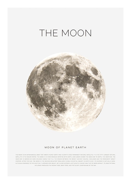 The Moon Poster / Kinder bei Desenio AB (11441)