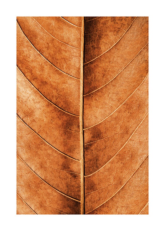 Autumn Leaf Poster / Naturmotive bei Desenio AB (11575)