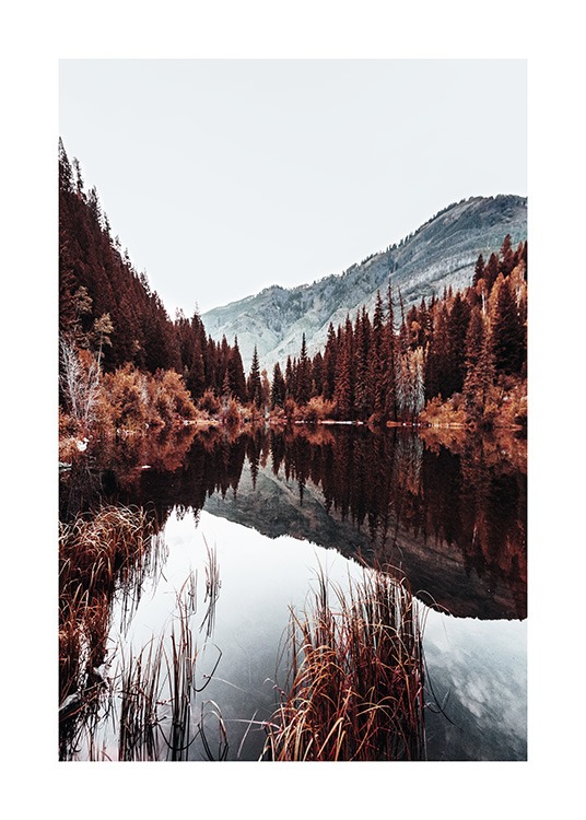 - Poster eines Sees mit Bergen und Bäumen an einem kalten Tag