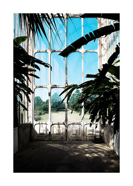 Window in Kew Garden Poster / Fotografien bei Desenio AB (11592)