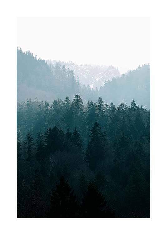 Deep Foggy Forest Poster / Naturmotive bei Desenio AB (11630)