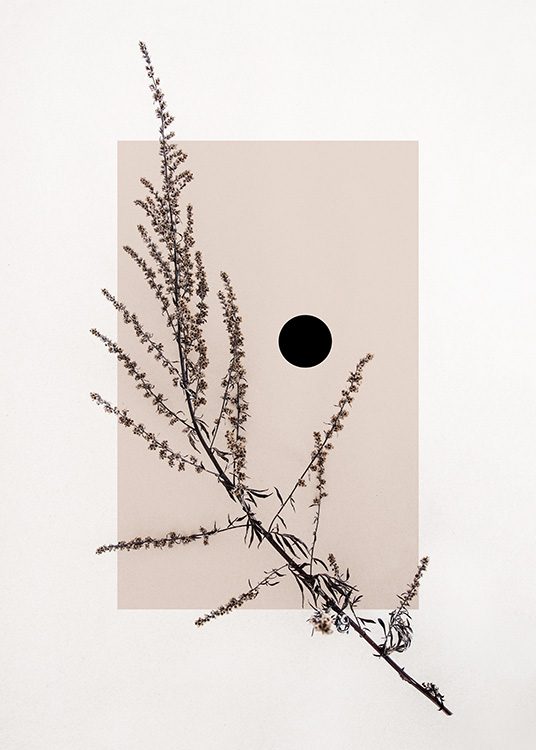 Poster eines getrockneten Blattes mit einem abstrakten Hintergrund, der ein beiges Quadrat und einen schwarzen Punkt enthält. Eine perfekte Kombination von Leben, vom Blatt über die abstrakte Struktur bis hin zu den Formen.