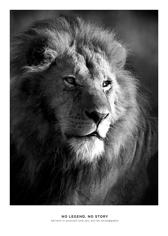 Lion Legend Poster / Tiere bei Desenio AB (11855)