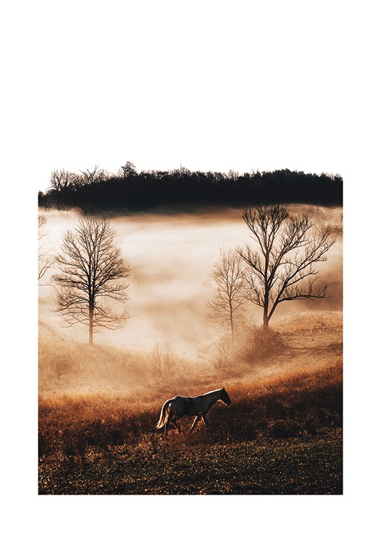 Horse in Landscape Poster / Fotografien bei Desenio AB (11862)