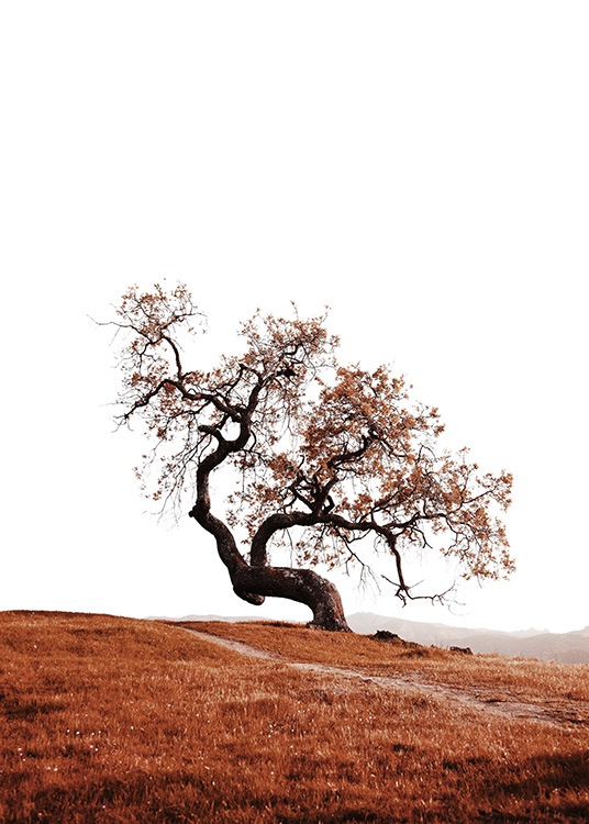 –Poster eines Baumes auf einem Hügel.