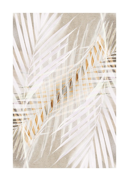White Palm Leaves Poster / Fotografien bei Desenio AB (12059)