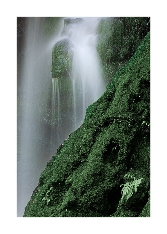 Waterfall in Forest Poster / Naturmotive bei Desenio AB (12080)