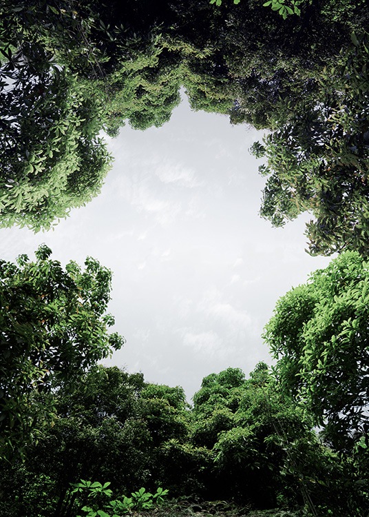 –Fotografie von Bäumen, die einen Kreis bilden, durch den der Himmel scheint.