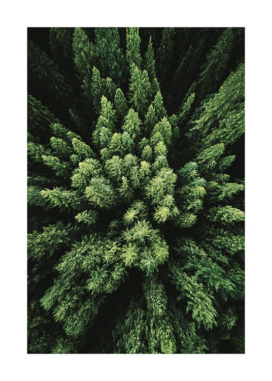 Aerial Forest Poster / Naturmotive bei Desenio AB (12083)