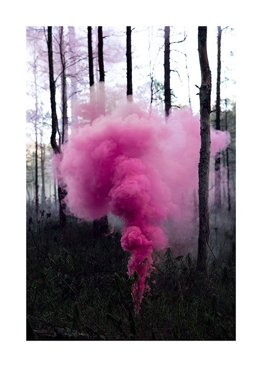 Pink Forest Poster / 50x70 cm bei Desenio AB (12175)