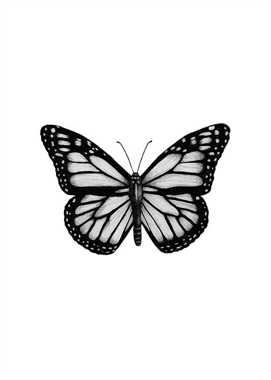 Butterfly Drawing Poster / Schwarz-Weiß bei Desenio AB (12307)