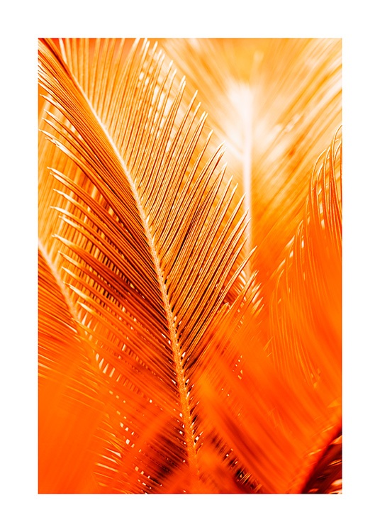 Orange and Gold Palm Poster / Botanik bei Desenio AB (12403)