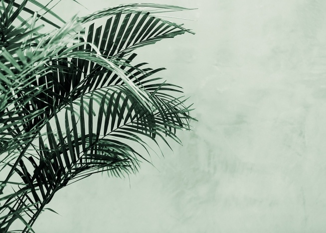 Palm Tree Wall Poster / Botanik bei Desenio AB (12412)