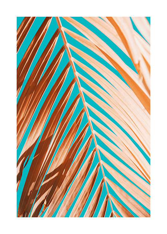 Palm Leaf Against Blue Sky Poster / Fotografien bei Desenio AB (12414)