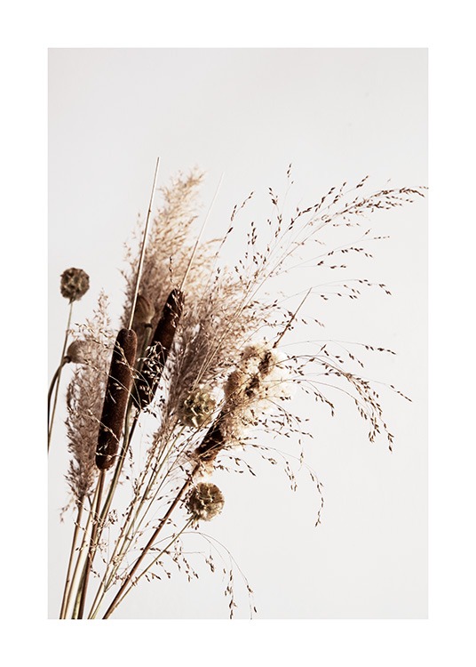 Dry Reeds No1 Poster / Fotografien bei Desenio AB (12419)