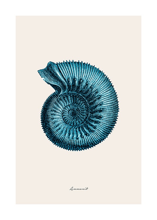 Blue Ammonit Poster / Naturmotive bei Desenio AB (12429)